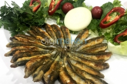 Bizim Balıkçı Fahri Baba