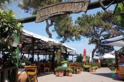 Çamlı Kahve