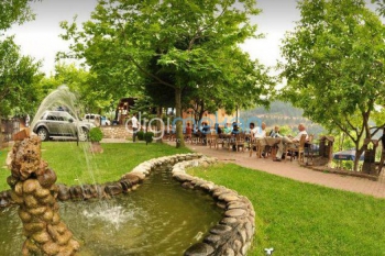 Yeşil Vadi Cafe