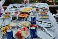 Misi Orkide Restoran Kafe