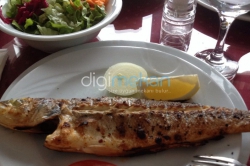 Mudanya Orduevi Balık Restoranı
