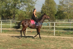 Manej Cafe Atlı Spor