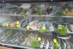 Ceylan Ablanın Yeri