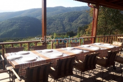 Patika Blueberry Garden