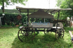 Haflinger Çiftliği
