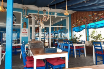İskele Balık Pişiricisi